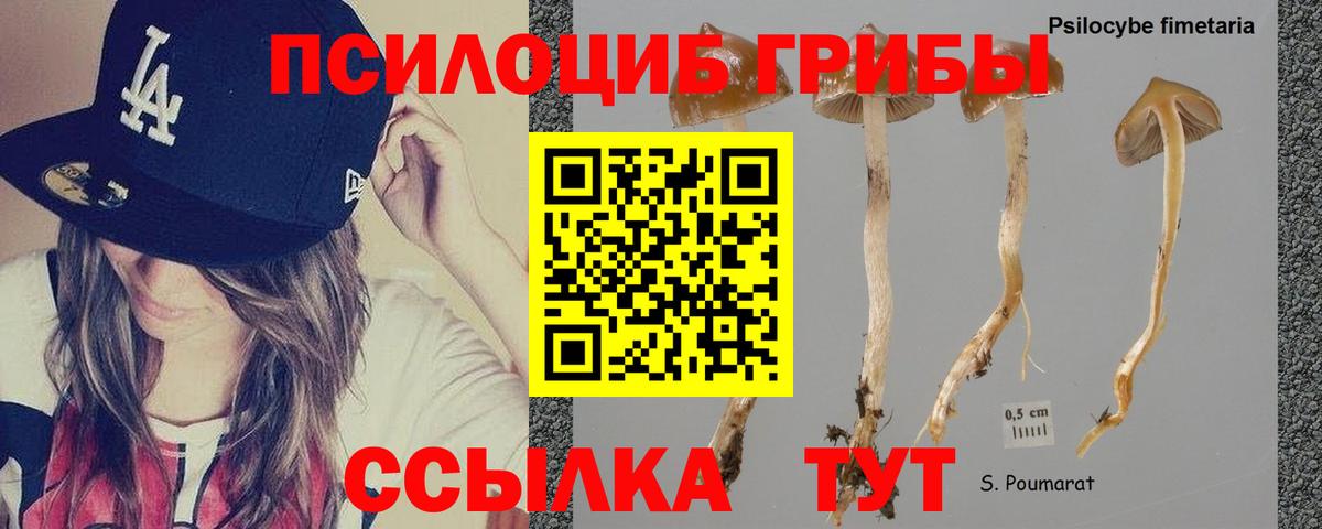 Янаул  Галлюциногенные грибы Psilocybe  Псилоцибиновые грибы Magic Shrooms  Вход с VPN 